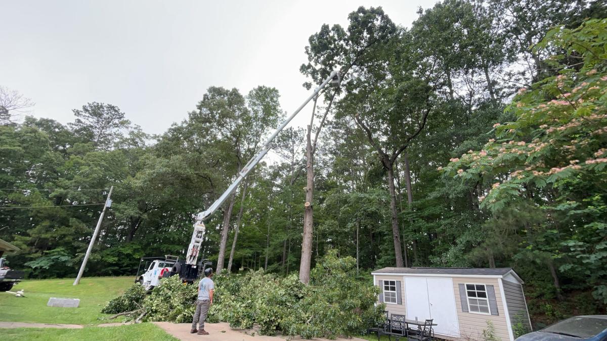 Bucket truck at full extension on a residential tree removal in North Alabama